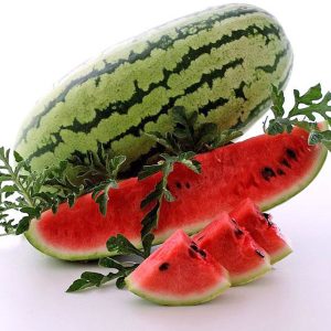 Yerli Akçapınar Kadınbudu karpuz tohumu atalık tohum