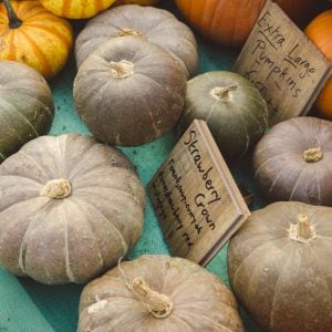 Strawberry crown kışlık kabak tohumu winter squash