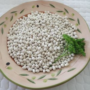 Haricot de Paimpol oturak fasulye tohumu cocaigne bush dry bean