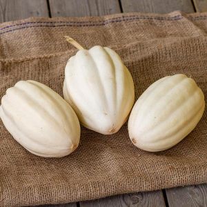 Patates püresi kışlık kabak tohumu mashed patato