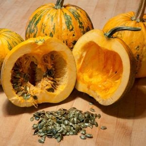 Kakai kabuksuz kabak çekirdeği kabağı tohumu Stryian pumpkin