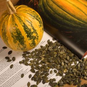 Kakai kabuksuz kabak çekirdeği kabağı tohumu Stryian pumpkin