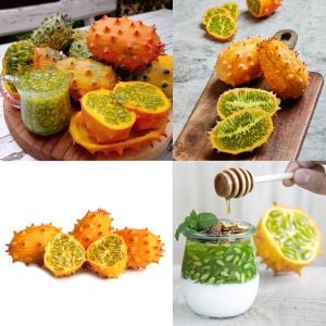 Atalık Kiwano meyvesi tohumu Cucumis metuliferus