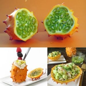Atalık Kiwano meyvesi tohumu Cucumis metuliferus