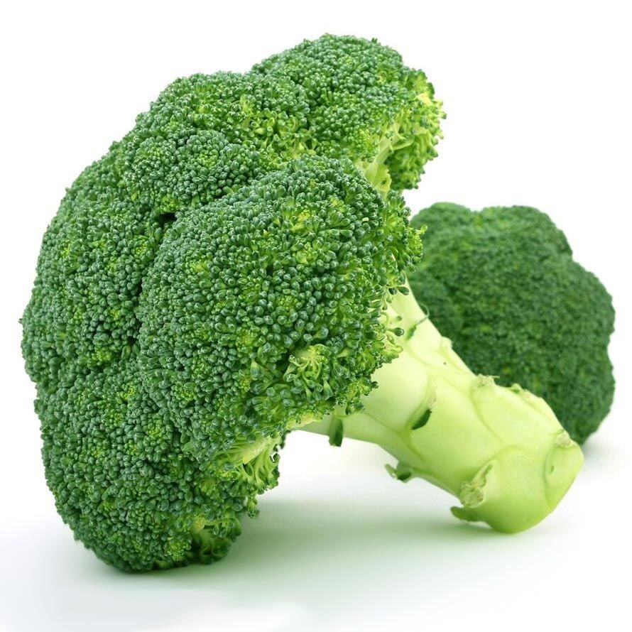 İtalyan broccoli calabrese erkenci brokoli tohumu