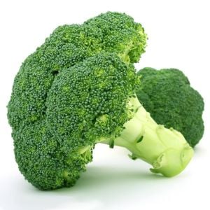 İtalyan broccoli calabrese erkenci brokoli tohumu