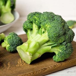 İtalyan broccoli calabrese erkenci brokoli tohumu