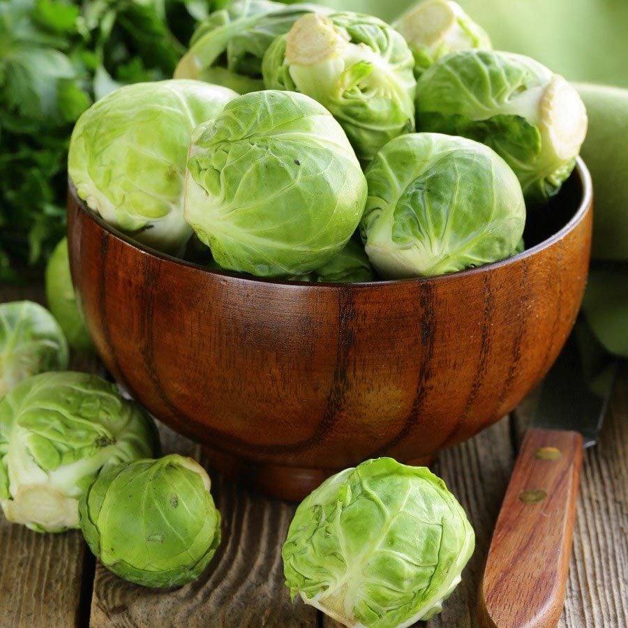 Catskill brüksel lahanası tohumu Atalık