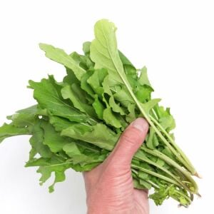 Atalık Ege roka tohumu yerli tohum