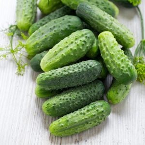 İnce kabuklu turşuluk salatalık tohumu national pickling