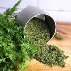 Mamut dereotu tohumu Atalık tohum long island dill