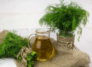 Demetlik dereotu tohumu Atalık tohum bouquet dill