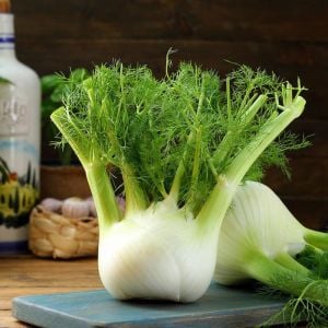 Floransa kök rezene tohumu fennel