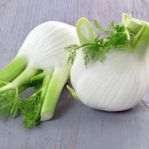 Floransa kök rezene tohumu fennel