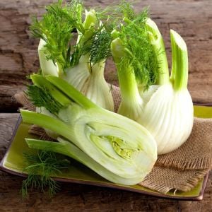 Floransa kök rezene tohumu fennel