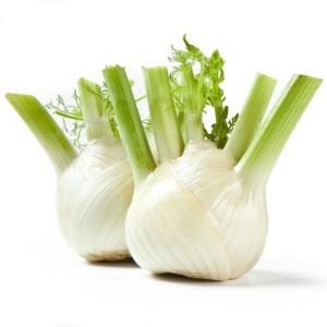 Floransa kök rezene tohumu fennel
