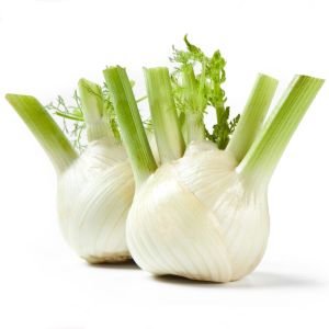 Floransa kök rezene tohumu fennel