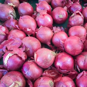 Kırmızı baş soğan tohumu geleneksel red creole onion