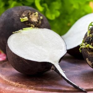 Siyah turp tohumu geleneksel yerli tohum