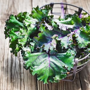 Kırmızı rus pazı tohumu atalık red russian kale seeds