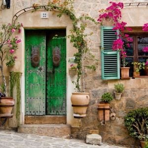 Antik döküm kapı tokmağı greenman