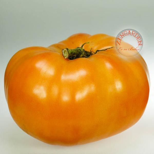 Hurma domatesi tohumu persimmon orange tomato