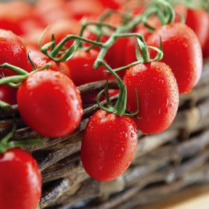 Atalık Bebek Üzümü domates tohumu sırık tip