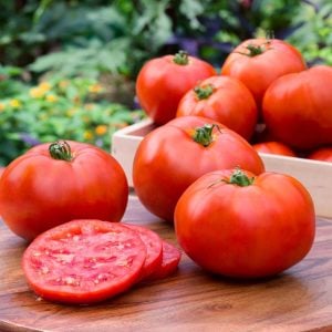 Atalık Bonny Best domates tohumu sırık tip