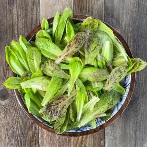 Çilli bebek yaprak marul tohumu flash trout back baby leaf lettuce