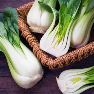 Pak choi tohumu beyaz mini pak çoy minyatür boy