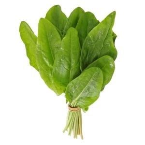 Fransız kuzukulağı tohumu sorrel de belleville