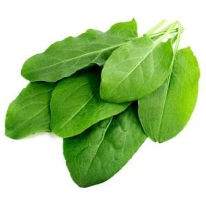 Fransız kuzukulağı tohumu sorrel de belleville