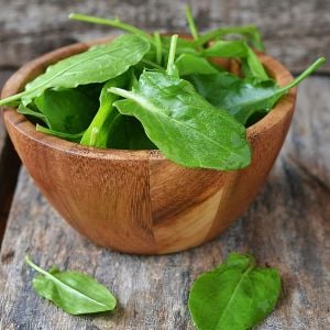 Fransız kuzukulağı tohumu sorrel de belleville