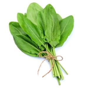 Fransız kuzukulağı tohumu sorrel de belleville