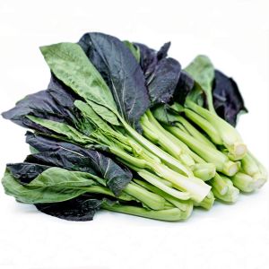 Mor Purple Gem Pak Choi tohumu Çin lahanası