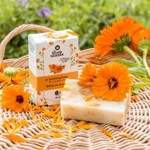 Balls turuncu aynı safa calendula tohumu