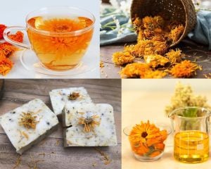 Balls turuncu aynı safa calendula tohumu