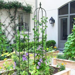 Sarıcı bitkiler için tırmanma destek kulesi Clematis obelisk 160 cm.