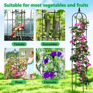 Sarıcı bitkiler için tırmanma destek kulesi Clematis obelisk 160 cm.