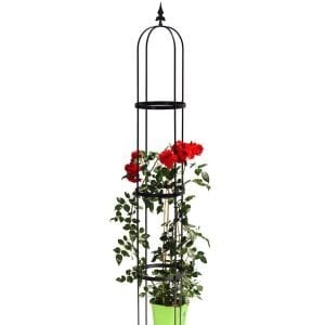 Sarıcı bitkiler için tırmanma destek kulesi Clematis obelisk 210 cm.