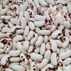 Asker fasulye tohumu soldier bean