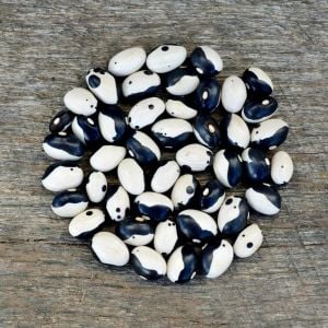 Kalipso fasulyesi tohumu calypso bean