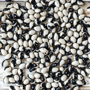 Kalipso fasulyesi tohumu calypso bean
