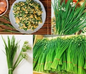Sarımsak otu tohumu garlic chives