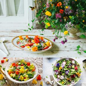 Yenilebilir Çiçek tohumu karışımı edible flowers seed mix
