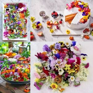 Yenilebilir Çiçek tohumu karışımı edible flowers seed mix