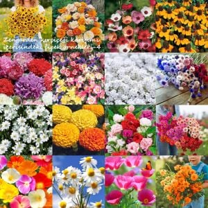Zengarden kır çiçekleri tohumu karışımı 12 gr. sürdürülebilir bahçecilik