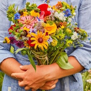 Zengarden kır çiçekleri tohumu karışımı 12 gr. sürdürülebilir bahçecilik