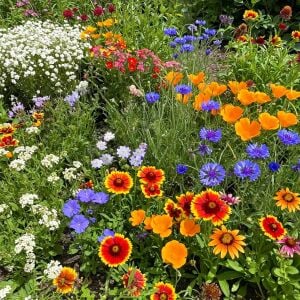 Zengarden kır çiçekleri tohumu karışımı 12 gr. sürdürülebilir bahçecilik