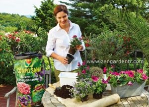 Compo Sana tüm balkon ve saksı bitkileri için özel toprak 40 litre